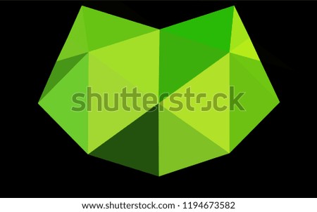 Light Green vector low poly cover. An elegant bright illustration with gradient. A completely new template for your business design.