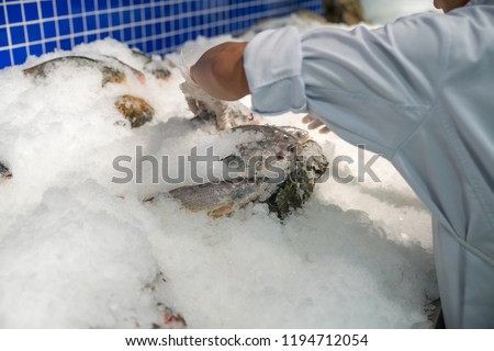Fish in ice in supermarket with male workers hands keeping fish for preservation