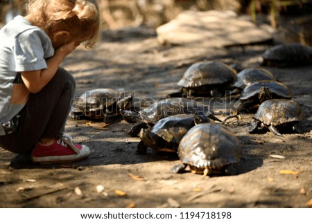 Turtles and little girl