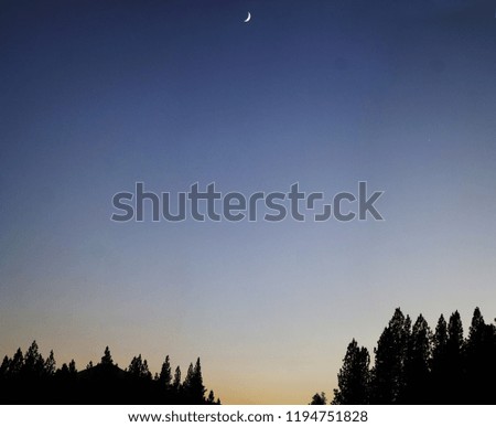                moon over forest lake                