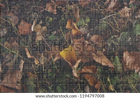 Yellow leaves and green grass under a grid of plastic. Russia.