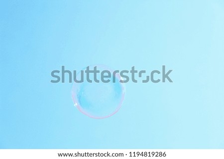 Beautiful translucent soap bubble outdoors on sunny day. Space for text