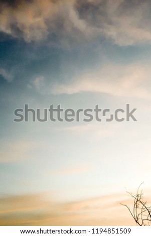 Silhouette tree's branches on twilight sky with golden clouds. Evening Sky and Amazing Cloud on Twilight time,Colorful Dramatic Sky in the Evening on Summer,Dusk Sky Sunset,Nature Background & Space Royalty-Free Stock Photo #1194851509