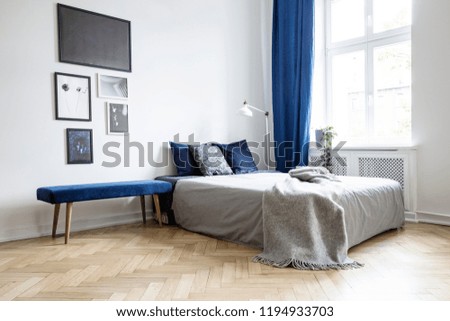 Natural light coming through a large window into a white and navy blue bedroom interior with cozy bed and hardwood floor
