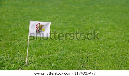 Illinois flag. Photo of Illinois state flag on a green grass lawn background. Close up of state flag waving outdoors.
