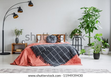 Red bed with patterned blanket between lamp and plants in grey bedroom interior. Real photo