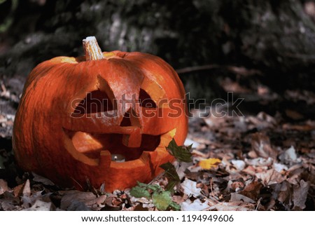 Dark scary forest. Pumpkin with a carved, smiling face. The symbol of Halloween, a festive picture.