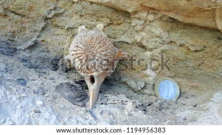 Closeup of Mid-Sarmatian lamantine (sea cow) fossil vertebrae, found in situ. Coin set as scale. Bulgaria, Eastern Europe.