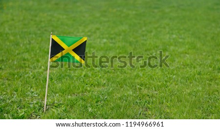 Jamaica Flag. Photo of Jamaica flag on a green grass lawn background. National flag waving outdoors.