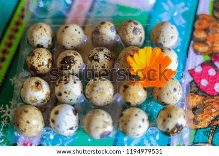 Quail eggs in transparent tray for sale to client for cook at home, good idea for breakfast and healthy, symbol for easter 