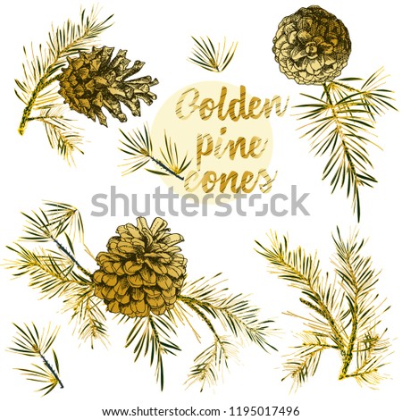 Realistic Botanical ink sketch of fir tree branches with pine cone in gold color on white background. Good idea for templates invitations, greeting cards. Vector illustrations