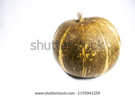 big pumpkin on white background
