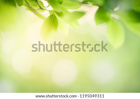 Nature of green leaf in garden at summer. Natural green leaves plants using as spring background cover page environment ecology or greenery wallpaper Royalty-Free Stock Photo #1195049311