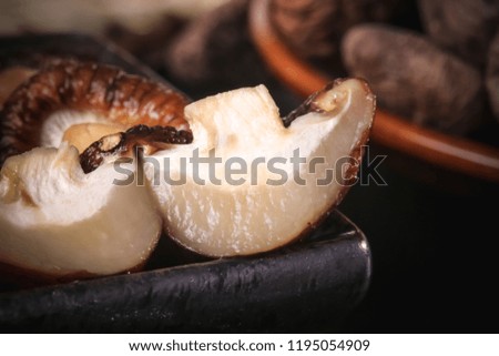 High quality shiitake pictures