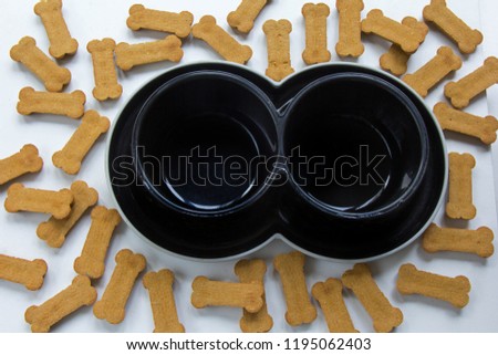 Black dog’s feeding plastic double bowl of a black color. And cookies of a bone shape. White background. High resolution