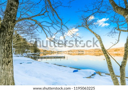 Beautiful fresh snow in winter around the mountains  Lake ,and tree  with blue sky  background, Nagano Prefecture, Japan.
