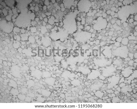 The Grunge on the Concrete surface. The Depiction of the Craters on the surface of the Moon. Abstract background of Black and White color. 