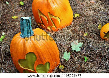 Carved pumpkins with music notes and hearts.
