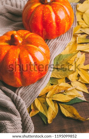 autumn concept. pumpkins, plaid and leaves on wooden background.