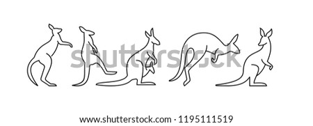  kangaroo line logo icon designs vector
