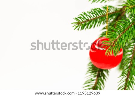 Red Christmas ball  on pine tree  space for text, isolated on white background.