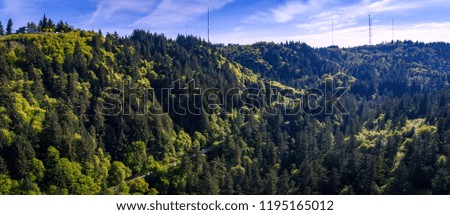 Oregon Forest - Aerial Panorama