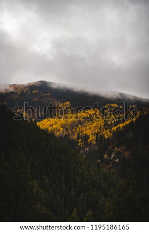 Clouds hanging low over mountains covered in aspens during autumn. 