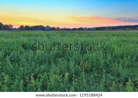 Rural landscape with beautiful gradient evening sky at sunset. Green field and village on horizon 