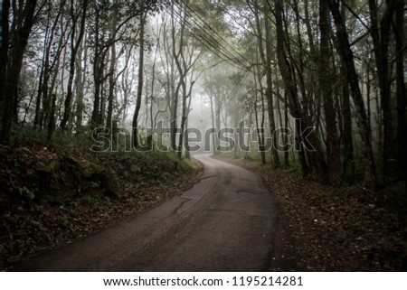 Abstract background of route and journey amidst the big tree and beautiful nature