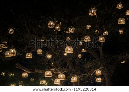 candles in tree