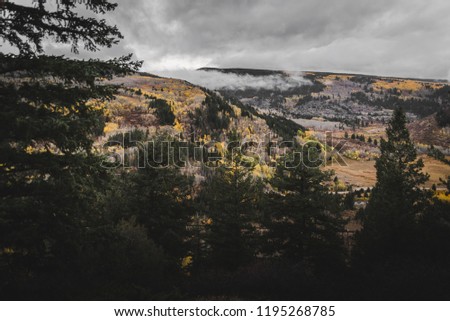 Landscape views of fall foliage in the rocky mountains in Colorado on a cloudy day. 