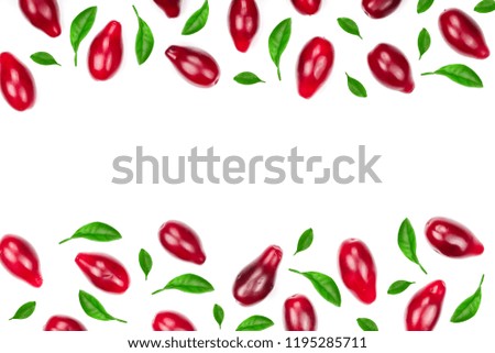 Red berries of cornel or dogwood decorated with green leaves isolated on white background with copy space for your text. Top view. Flat lay