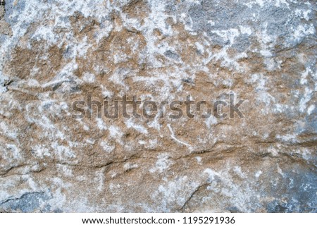 Warm soft tones and textured surface of a rock.