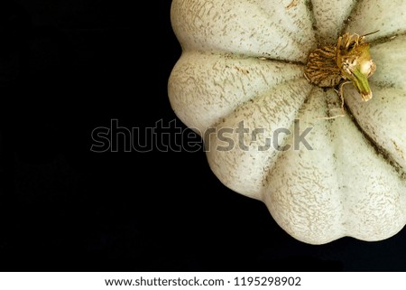 natural pumpkin, pumpkin on a black background,a whole pumpkin,