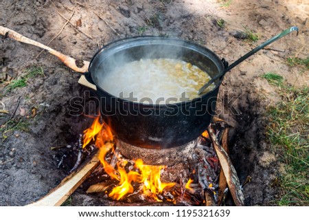 pot with food is cooked on an open fire