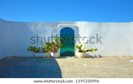 Blue door with cactus and the traditional white walls in the town of Ostuni Apulia region, Italy. Panoramic banner.