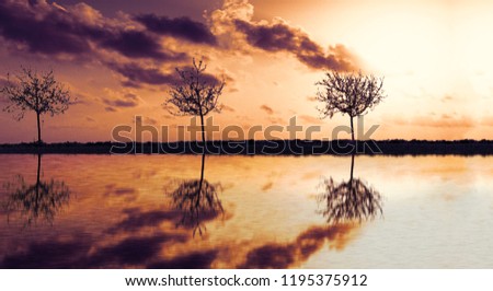 Sunset is beautiful to photograph because of different colors. Sunset clicked in frankfurt am main Royalty-Free Stock Photo #1195375912