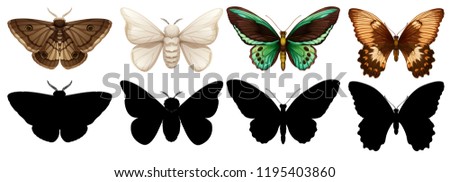 Different color and silhouette butterfly  illustration