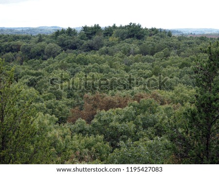 View on the expanse of a forest (taken from a top of bluff). Trees with different shades of green, no people. Wisconsin, late September.