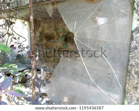 Shards of broken glass on dirty floor with plants leaves. broken glass patterns. broken tempered glass closeup, background of glass was smashed close up