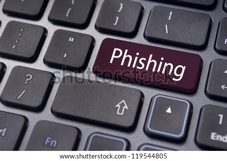 Phishing concepts, to steal username, passwords or some financial information of internet users.