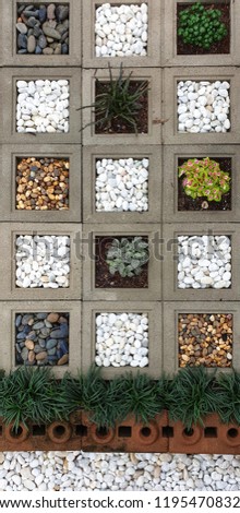 Garden decoration by stones and small plants