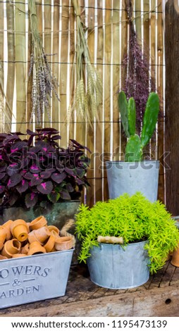 Relaxing area with garden object and tools decoration on table in cozy home garden on summer.