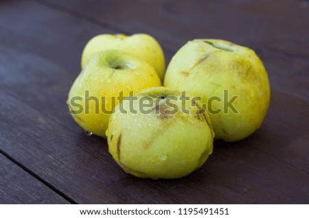 Autumn yellow apples on a wooden table