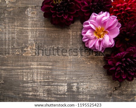 Bright fresh garden flowers on wooden surface