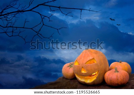 Halloween background. Card with jack-o'-lantern and pumpkins on night sky background with black tree branch and bats. Invitation, holyday concept, close-up, copy space