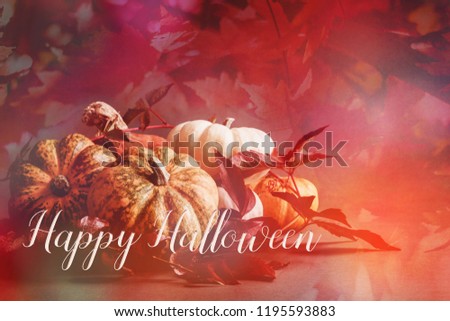 Halloween banner with pumpkins and a quote 'Happy Halloween'. Great for social media accounts and blogs.