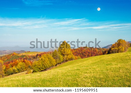 autumn landscape with grassy meadow and row of trees in autumn foliage. mountain ridge in the distance. full moon on a blue daytime sky