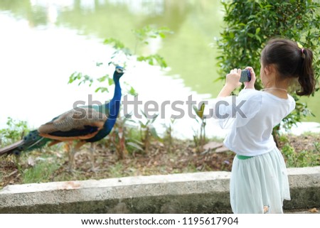 Little girl is take a photo peacock in the zoo.