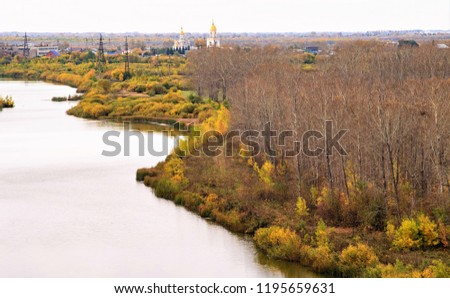 autumn forest river landscape view from above